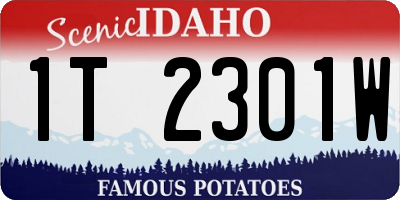 ID license plate 1T2301W
