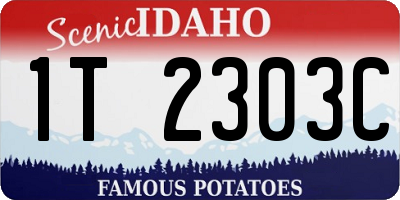 ID license plate 1T2303C