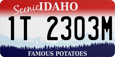 ID license plate 1T2303M