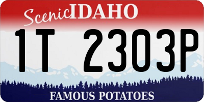 ID license plate 1T2303P