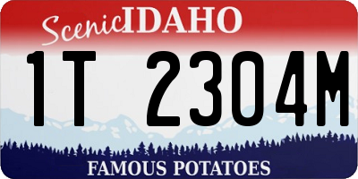 ID license plate 1T2304M