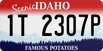 ID license plate 1T2307P