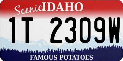 ID license plate 1T2309W