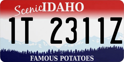 ID license plate 1T2311Z