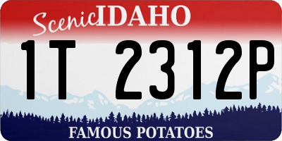 ID license plate 1T2312P