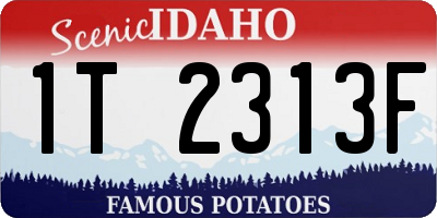 ID license plate 1T2313F
