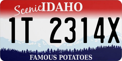 ID license plate 1T2314X