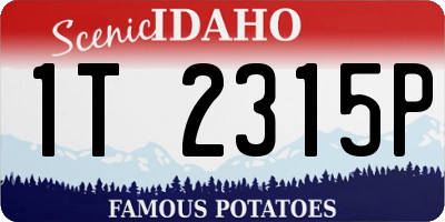 ID license plate 1T2315P