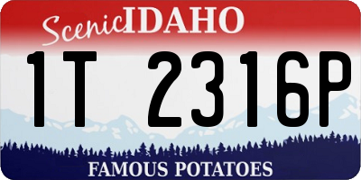 ID license plate 1T2316P