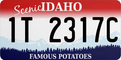 ID license plate 1T2317C