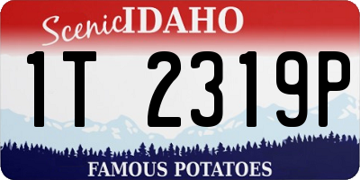 ID license plate 1T2319P