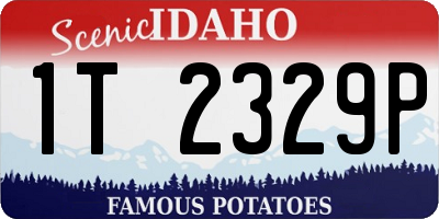 ID license plate 1T2329P