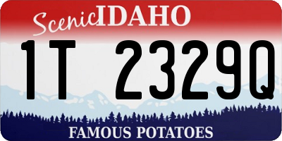 ID license plate 1T2329Q