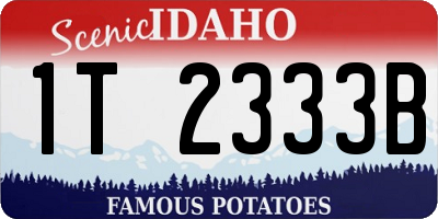 ID license plate 1T2333B