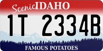 ID license plate 1T2334B