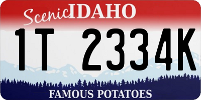 ID license plate 1T2334K