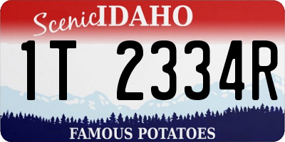 ID license plate 1T2334R