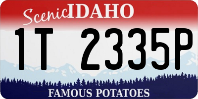 ID license plate 1T2335P