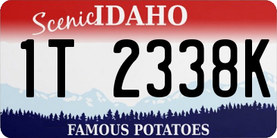 ID license plate 1T2338K