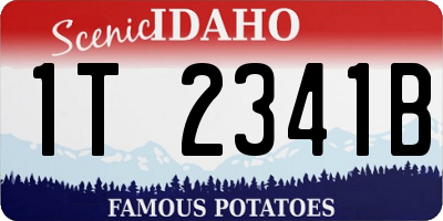 ID license plate 1T2341B