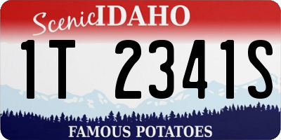 ID license plate 1T2341S