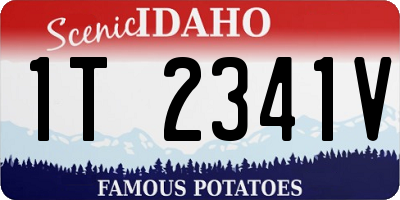 ID license plate 1T2341V