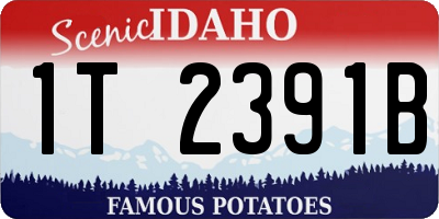 ID license plate 1T2391B