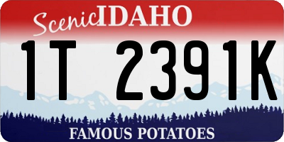 ID license plate 1T2391K