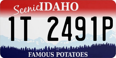 ID license plate 1T2491P