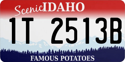 ID license plate 1T2513B