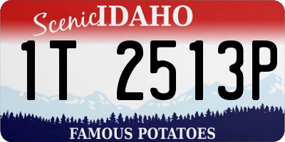 ID license plate 1T2513P