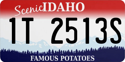 ID license plate 1T2513S