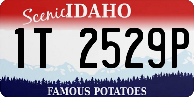 ID license plate 1T2529P