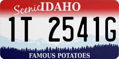 ID license plate 1T2541G