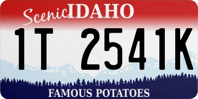 ID license plate 1T2541K