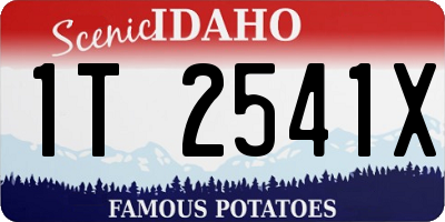 ID license plate 1T2541X