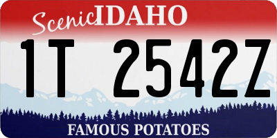 ID license plate 1T2542Z