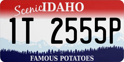 ID license plate 1T2555P