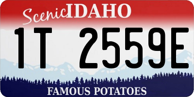 ID license plate 1T2559E