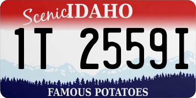 ID license plate 1T2559I