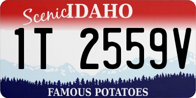 ID license plate 1T2559V