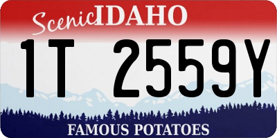 ID license plate 1T2559Y