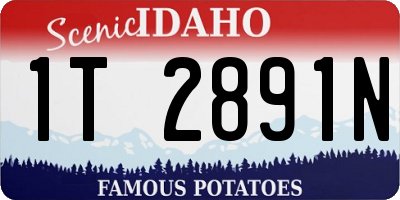 ID license plate 1T2891N
