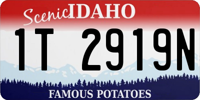 ID license plate 1T2919N