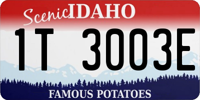 ID license plate 1T3003E