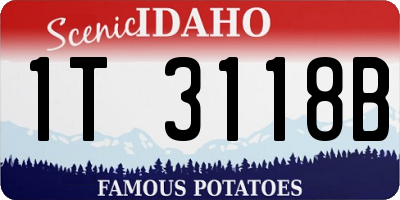 ID license plate 1T3118B