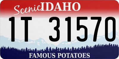 ID license plate 1T3157O
