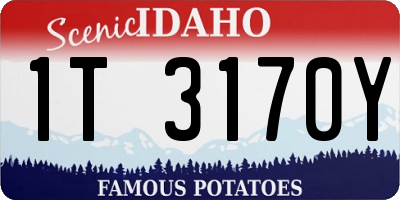 ID license plate 1T3170Y