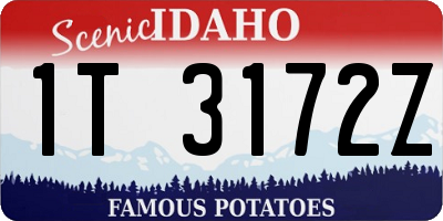 ID license plate 1T3172Z