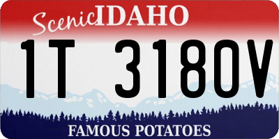 ID license plate 1T3180V